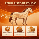 DigestEqui - Anti-Cólica Equina