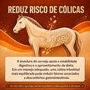 DigestEqui - Anti-Cólica Equina